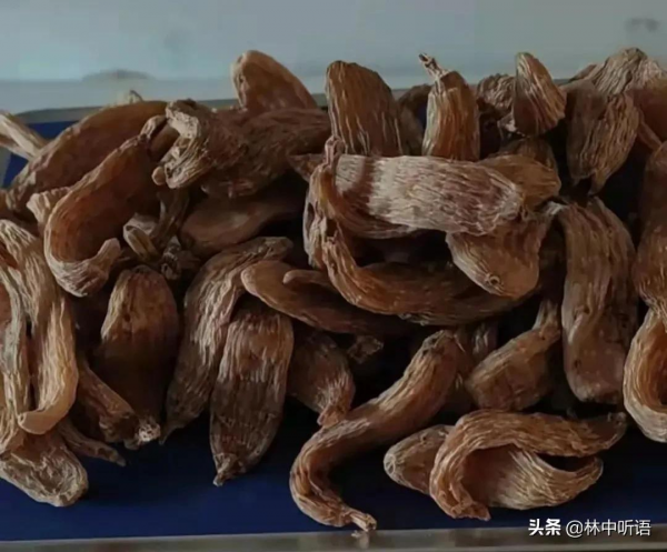 半日酸菜豬肉燉粉條!暴雪即將封山,山東女婿難捨的東北情結 半日酸菜豬肉燉粉條!暴雪即將封山,山東女婿難捨的東北情結