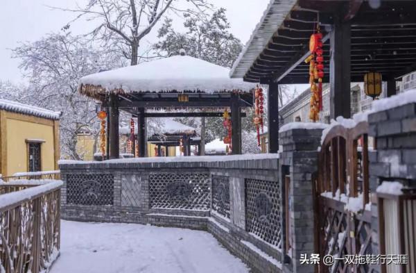 花鄉&bull;雪｜能飲一杯無？
