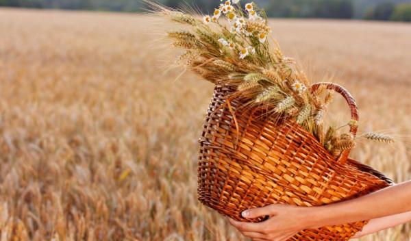 能獨處，不輕易合群的星座，真正的成熟，是獨立，是泰然自若