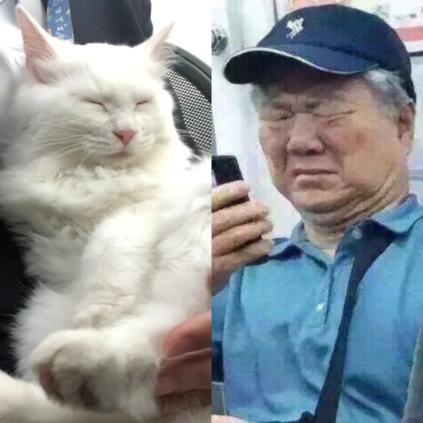 聽說我是一隻狗？