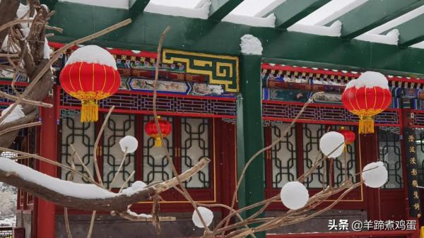難覽觀園全畫景 雪覆臘梅一隅香&mdash;&mdash;踏雪尋遊北京大觀園