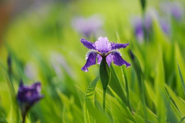 70歲老人:晚年搭夥生活費零花錢可以商量,養老金一定在自己手裡 70歲老人:晚年搭夥生活費零花錢可以商量,養老金一定在自己手裡