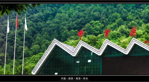 終南山牛背梁:靜謐的羚牛谷,溪、潭、瀑、橋可能並不是它的全部 終南山牛背梁:靜謐的羚牛谷,溪、潭、瀑、橋可能並不是它的全部