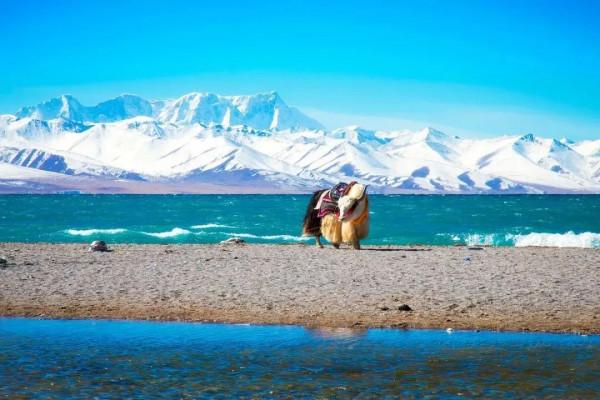 開往“中國最美秋天”6條自駕路線,條條都是NO.1,沿途美成天堂 開往“中國最美秋天”6條自駕路線,條條都是NO.1,沿途美成天堂