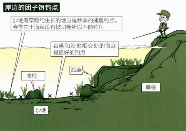 「 日本專業磯釣書籍 」糰子餌釣法，初學者最佳磯釣釣技