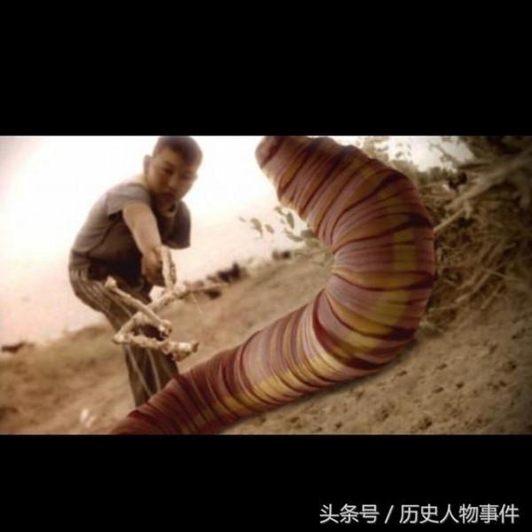 荒灘戈壁的“死亡之蟲” 荒灘戈壁的“死亡之蟲”