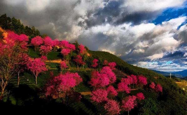 抓住秋天的尾巴，快來這8個絕美旅行地，享受當下的美景吧