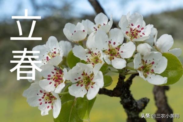 “春打六九頭，吃水像喝油”，2022年數九怎麼安排？啥時候立春？