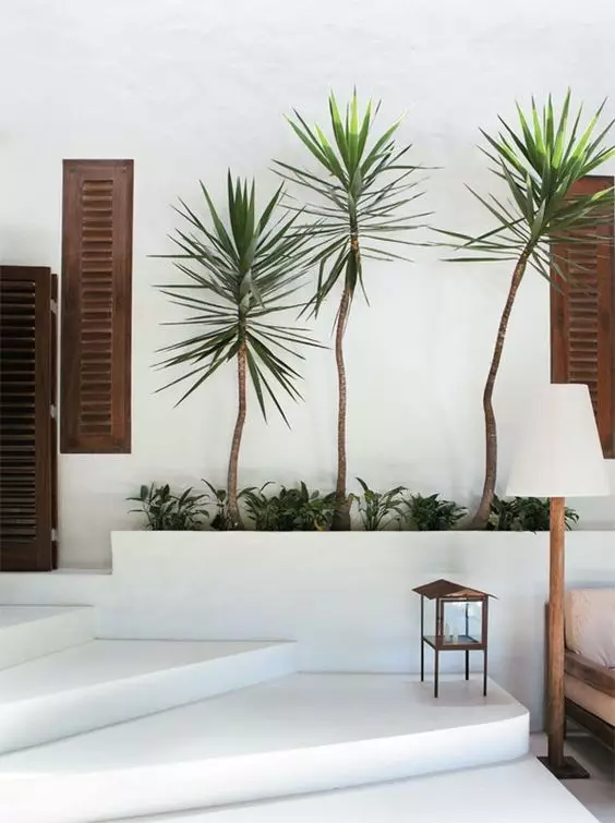 50款簡潔的院子，美的驚人