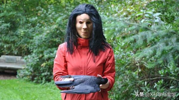 動物比人更深情,面對同伴死去,動物哀悼的方式讓人心酸、淚目 動物比人更深情,面對同伴死去,動物哀悼的方式讓人心酸、淚目