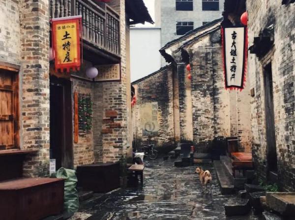 麥芽醇香泡金針，鮮香回味辣嘴唇，穿越雲煙玩古鎮