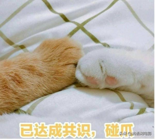 在劇組工作是一種怎樣的體驗? 在劇組工作是一種怎樣的體驗?