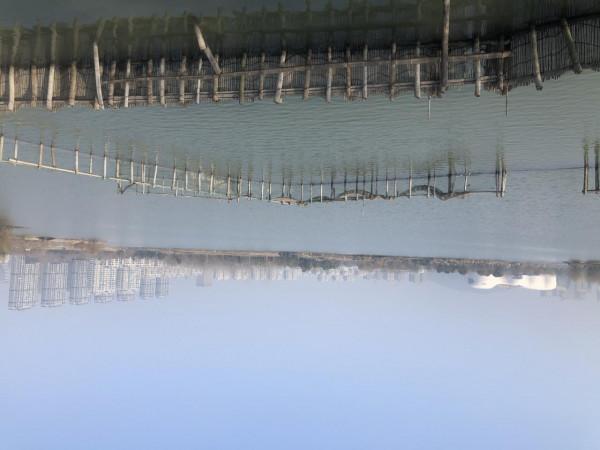 集科普、賞山悅水、朝拜於一體的徒步路線——白馬湖、冠山遊