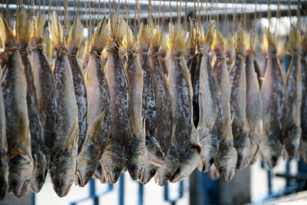 古代禁止販賣私鹽,那鹹魚該如何醃製呢?官府早就為漁民想好了 古代禁止販賣私鹽,那鹹魚該如何醃製呢?官府早就為漁民想好了