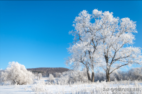 中醫:誘發心腦血管疾病的幾個因素,一定要注意了 中醫:誘發心腦血管疾病的幾個因素,一定要注意了
