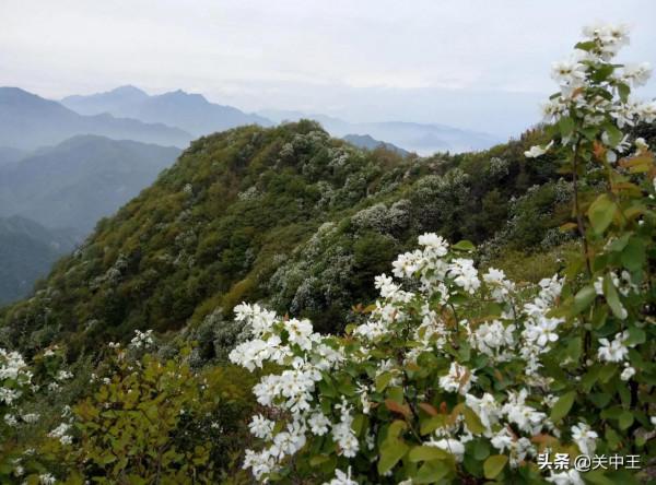 華夏龍脈,秦嶺北麓七十二峪,崇山峻嶺,千溝萬壑,到底有多壯美 華夏龍脈,秦嶺北麓七十二峪,崇山峻嶺,千溝萬壑,到底有多壯美