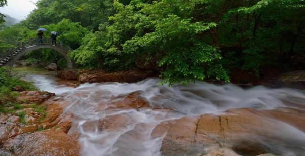 有條小魚,正從大別山“遊”向長三角…… 有條小魚,正從大別山“遊”向長三角……