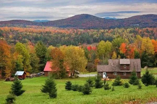 佛蒙特森林風光