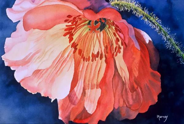 55歲拿起畫筆,成為最懂花的女人!筆下絢爛唯美的水彩花卉太美了 55歲拿起畫筆,成為最懂花的女人!筆下絢爛唯美的水彩花卉太美了