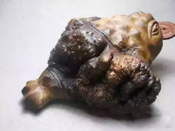 醜出新高度，價格卻貴得離譜