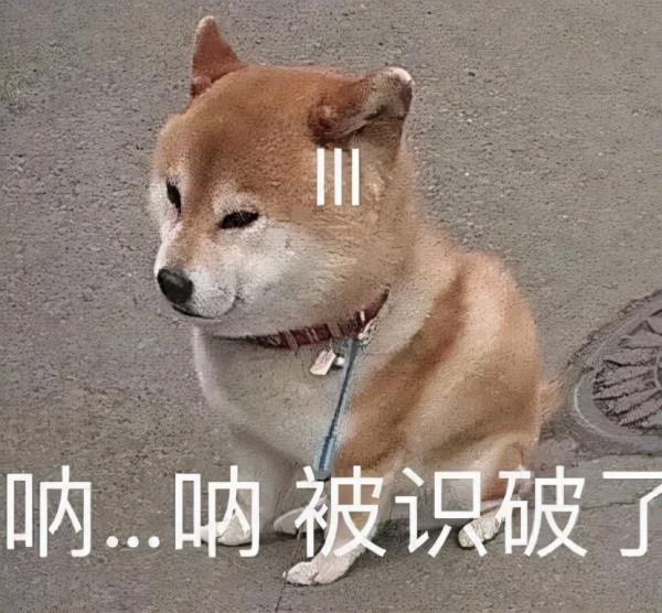 可可愛愛的表情包，快收藏喲