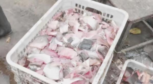 河南80歲大爺逛街賣小吃,35年吆喝聲響全城,一炸900斤不夠賣 河南80歲大爺逛街賣小吃,35年吆喝聲響全城,一炸900斤不夠賣