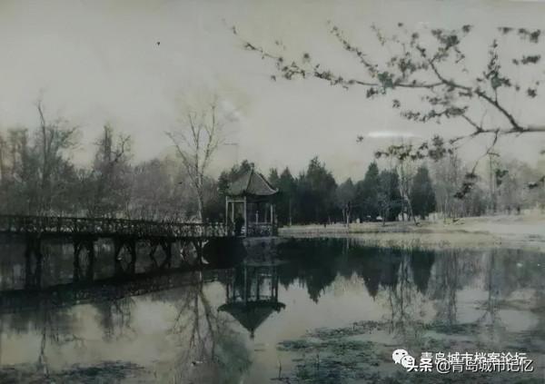 中山公園小西湖，你還記得她曾經的模樣嗎？