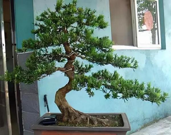 《天下第一奇書:智囊大全集》(十七)作者:馮夢龍 《天下第一奇書:智囊大全集》(十七)作者:馮夢龍