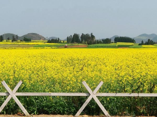 情人節，你預約了嗎？