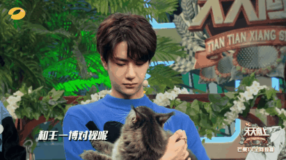 男明星的溫柔與寵溺都給了萌寵,好羨慕 男明星的溫柔與寵溺都給了萌寵,好羨慕