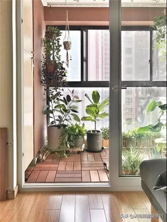 陽臺花園,獨享自然的風光 陽臺花園,獨享自然的風光