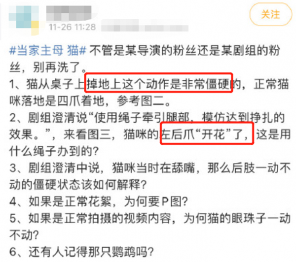蔣勤勤回應“疑似虐貓”事件!拍攝時不在現場,否認故意推卸責任 蔣勤勤回應“疑似虐貓”事件!拍攝時不在現場,否認故意推卸責任