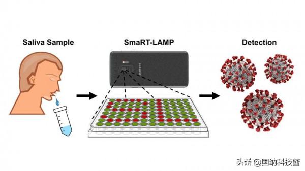手機可用於檢測新冠病毒？不僅可以，而且又快又準確，意義何在？