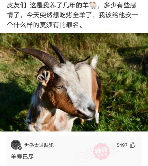 神回覆：我肯定選51歲的，這就是格局，這就叫做有遠見