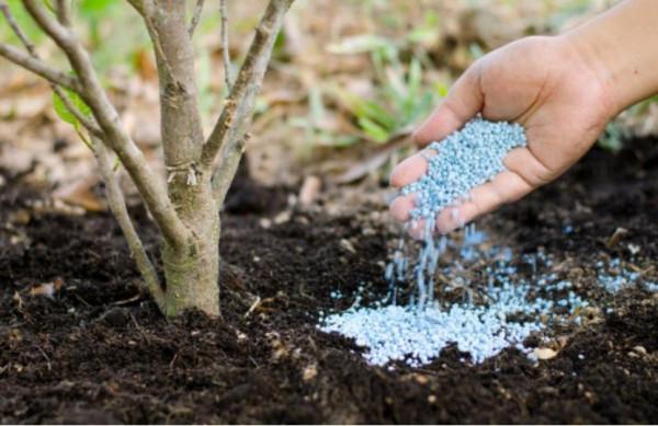 羅布泊“復活”了！曾經的原子彈試驗場，如今能養活億萬中國人