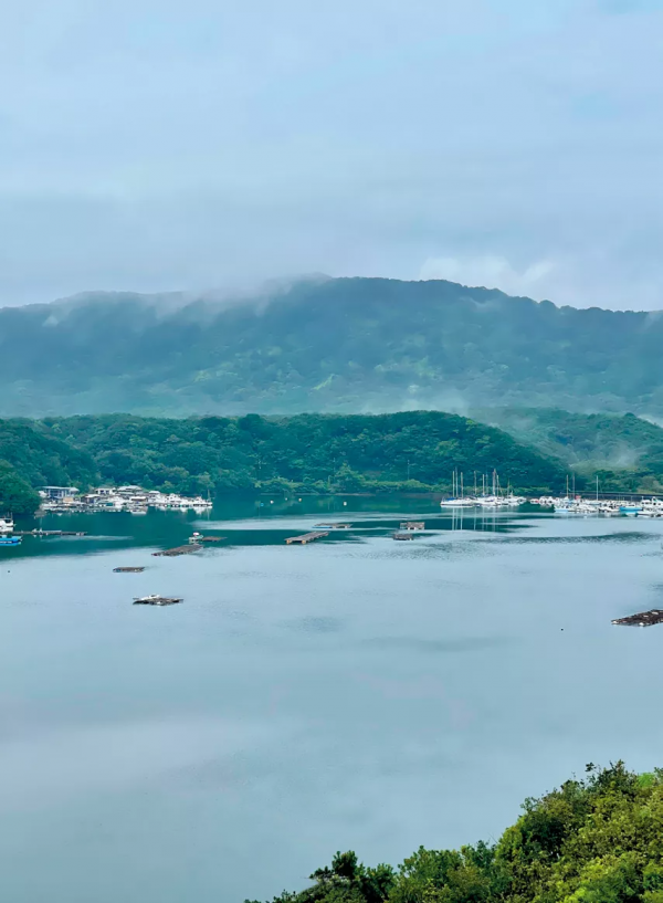 上過熱搜、28歲財務自由的程式設計師郭宇，退休後這一年他更自由了嗎