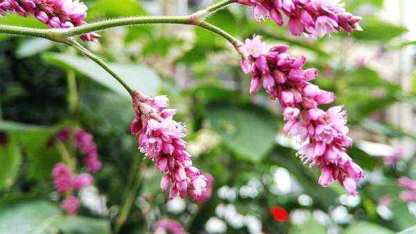 56歲阿姨坦言：退休後看似沒有朋友，對親情也淡漠的人卻活得通透