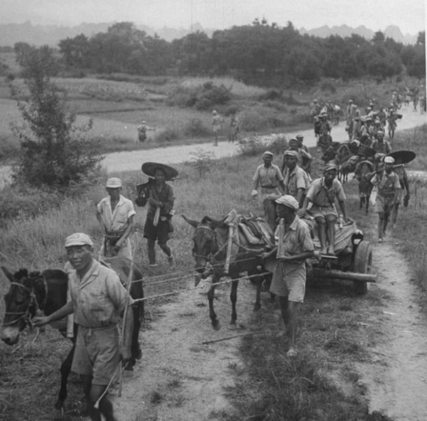 血戰大胡莊，劉本成是全連83人唯一倖存者，首長得知直接調到身邊