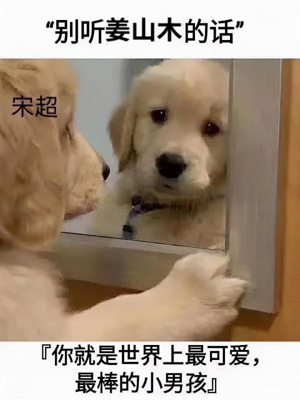 看了《愛很美味》，我對宋超徹底上頭了