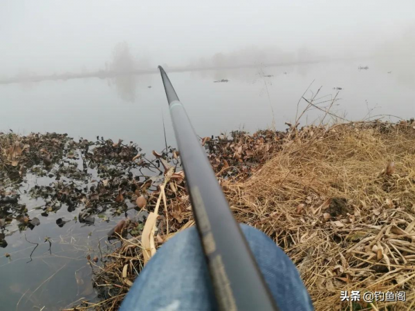 誰說傳統釣不能用立漂？這樣的線組既靈敏又方便觀察漂相