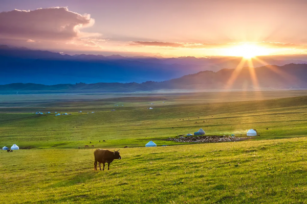 新疆風景最美的10條公路,你心動哪一條? 新疆風景最美的10條公路,你心動哪一條?