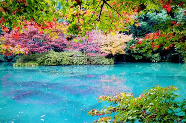 老外喜歡的10大中國城市，東北僅一座入選