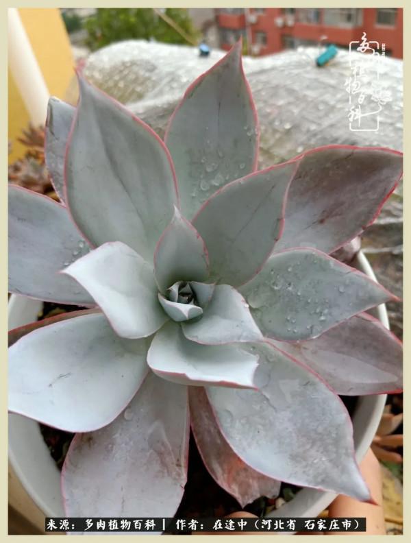 落葉知秋,願你安好 落葉知秋,願你安好