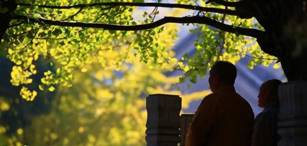 戒臺寺|祈福中秋 靜心之旅 戒臺寺|祈福中秋 靜心之旅