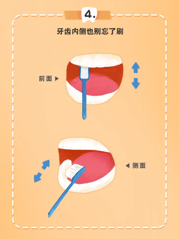 《最全兒童牙齒髮育時間表》來了!家長一定要了解 《最全兒童牙齒髮育時間表》來了!家長一定要了解
