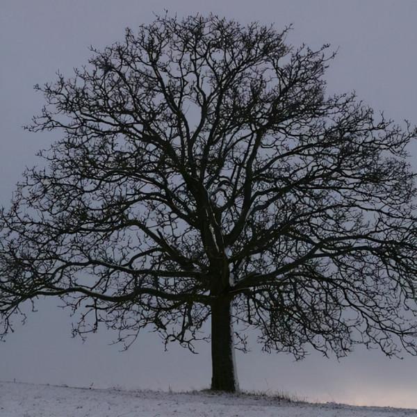 教育,真的不要搞“一刀切”,真的沒必要走那麼多形式 教育,真的不要搞“一刀切”,真的沒必要走那麼多形式