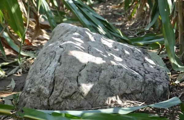 高僅0.6米的“山”，是文物保護單位，還是旅遊開發的“噱頭”？