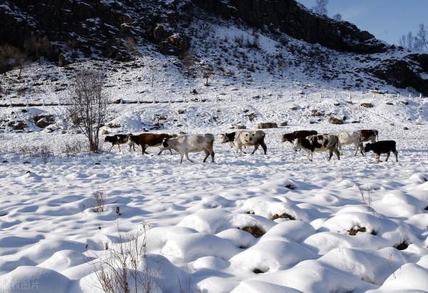 12月去哪玩?這8個美如畫卷的小眾打卡地,一到冬天就美成了仙境 12月去哪玩?這8個美如畫卷的小眾打卡地,一到冬天就美成了仙境
