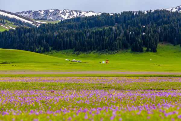 6個涼爽的高原高山湖泊,你去過幾個? 6個涼爽的高原高山湖泊,你去過幾個?