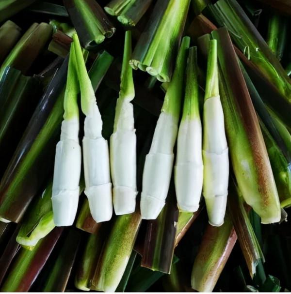 湖南稱它“高筍”,曾是名貴蔬菜,有“水中參”美稱,如今少人識 湖南稱它“高筍”,曾是名貴蔬菜,有“水中參”美稱,如今少人識